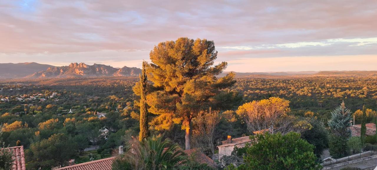 Corniche Du Paradis Roquebrune-sur Argens Zewnętrze zdjęcie